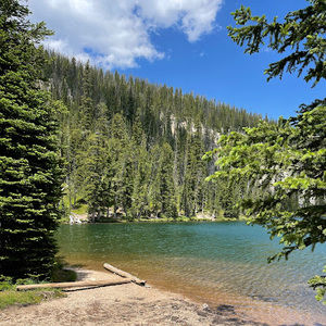 Meet your Posher, Nancy